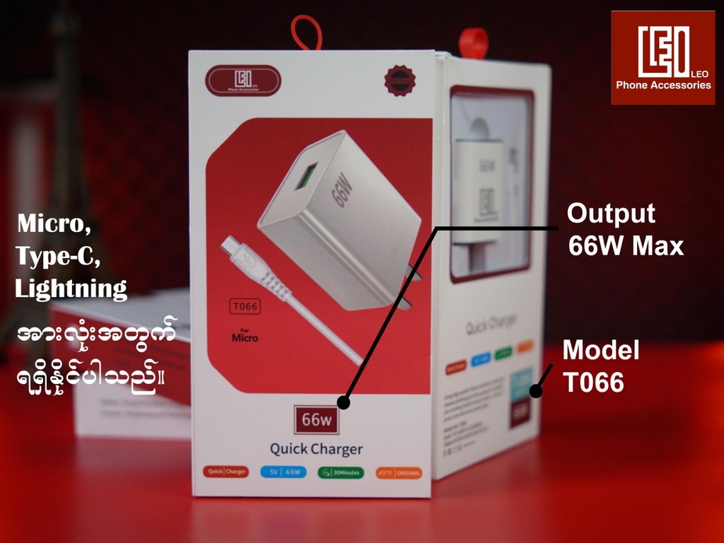 T066 IP